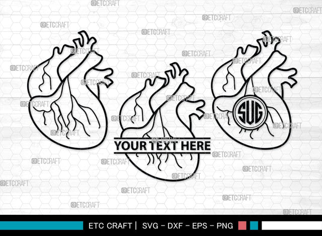 Human Heart Monogram, Human Heart Silhouette, Human Heart SVG, Heart Svg, Anatomical Heart Svg, Medical Svg, Heart Bundle, SB00147 SVG ETC Craft 