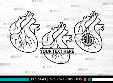 Human Heart Monogram, Human Heart Silhouette, Human Heart SVG, Heart Svg, Anatomical Heart Svg, Medical Svg, Heart Bundle, SB00147 SVG ETC Craft 