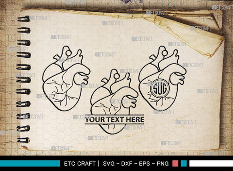 Human Heart Monogram, Human Heart Silhouette, Human Heart SVG, Heart Svg, Anatomical Heart Svg, Medical Svg, Heart Bundle, SB00147 SVG ETC Craft 