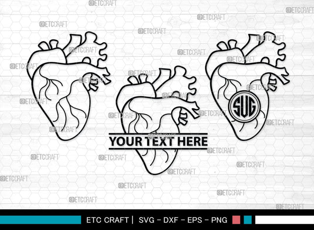 Human Heart Monogram, Human Heart Silhouette, Human Heart SVG, Heart Svg, Anatomical Heart Svg, Medical Svg, Heart Bundle, SB00147 SVG ETC Craft 