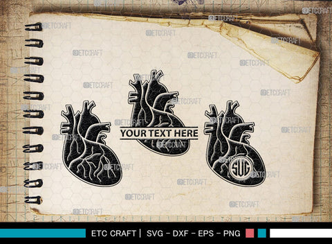 Human Heart Monogram, Human Heart Silhouette, Human Heart SVG, Heart Svg, Anatomical Heart Svg, Medical Svg, Heart Bundle, SB00147 SVG ETC Craft 