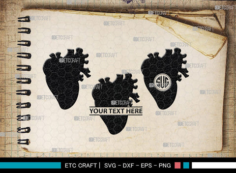 Human Heart Monogram, Human Heart Silhouette, Human Heart SVG, Heart Svg, Anatomical Heart Svg, Medical Svg, Heart Bundle, SB00147 SVG ETC Craft 