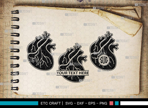 Human Heart Monogram, Human Heart Silhouette, Human Heart SVG, Heart Svg, Anatomical Heart Svg, Medical Svg, Heart Bundle, SB00147 SVG ETC Craft 