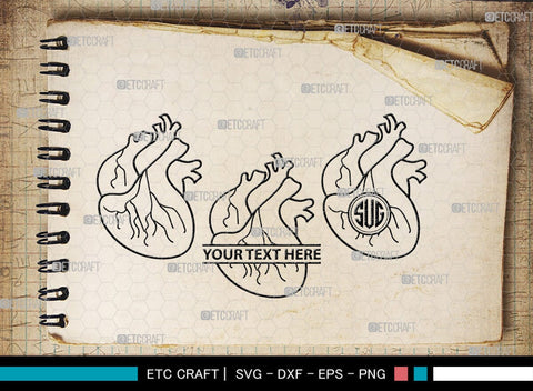 Human Heart Monogram, Human Heart Silhouette, Human Heart SVG, Heart Svg, Anatomical Heart Svg, Medical Svg, Heart Bundle, SB00147 SVG ETC Craft 