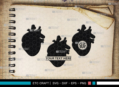 Human Heart Monogram, Human Heart Silhouette, Human Heart SVG, Heart Svg, Anatomical Heart Svg, Medical Svg, Heart Bundle, SB00147 SVG ETC Craft 