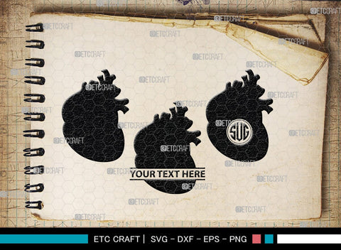 Human Heart Monogram, Human Heart Silhouette, Human Heart SVG, Heart Svg, Anatomical Heart Svg, Medical Svg, Heart Bundle, SB00147 SVG ETC Craft 