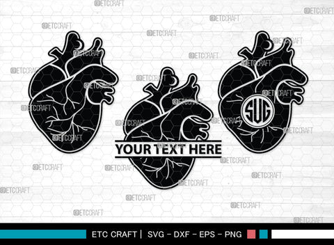 Human Heart Monogram, Human Heart Silhouette, Human Heart SVG, Heart Svg, Anatomical Heart Svg, Medical Svg, Heart Bundle, SB00147 SVG ETC Craft 