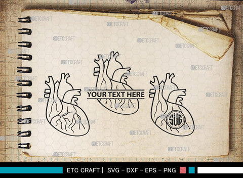Human Heart Monogram, Human Heart Silhouette, Human Heart SVG, Heart Svg, Anatomical Heart Svg, Medical Svg, Heart Bundle, SB00147 SVG ETC Craft 