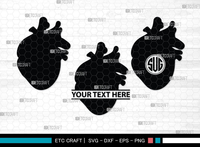 Human Heart Monogram, Human Heart Silhouette, Human Heart SVG, Heart Svg, Anatomical Heart Svg, Medical Svg, Heart Bundle, SB00147 SVG ETC Craft 