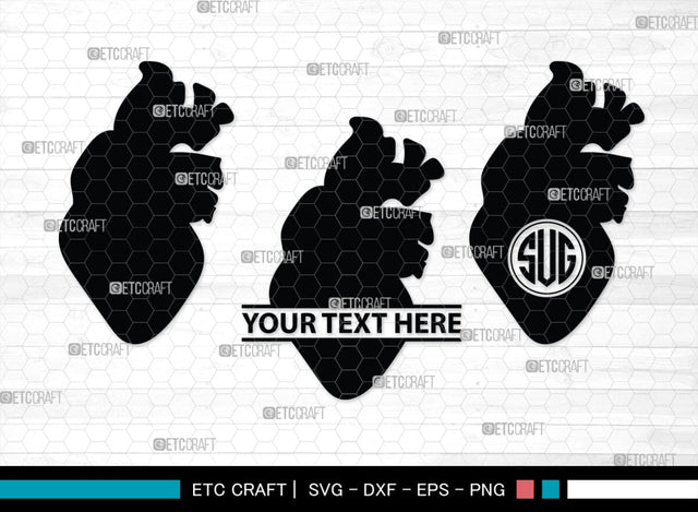 Human Heart Monogram, Human Heart Silhouette, Human Heart SVG, Heart Svg, Anatomical Heart Svg, Medical Svg, Heart Bundle, SB00147 SVG ETC Craft 