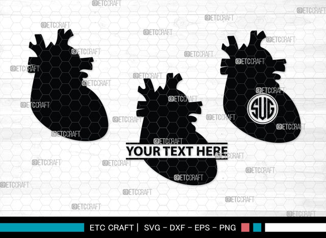 Human Heart Monogram, Human Heart Silhouette, Human Heart SVG, Heart Svg, Anatomical Heart Svg, Medical Svg, Heart Bundle, SB00147 SVG ETC Craft 