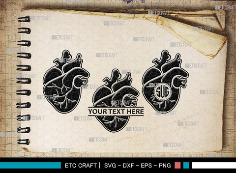 Human Heart Monogram, Human Heart Silhouette, Human Heart SVG, Heart Svg, Anatomical Heart Svg, Medical Svg, Heart Bundle, SB00147 SVG ETC Craft 