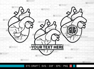 Human Heart Monogram, Human Heart Silhouette, Human Heart SVG, Heart Svg, Anatomical Heart Svg, Medical Svg, Heart Bundle, SB00147 SVG ETC Craft 