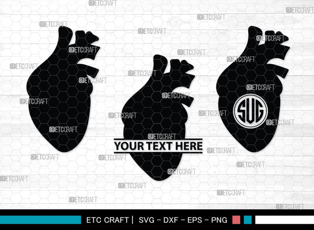 Human Heart Monogram, Human Heart Silhouette, Human Heart SVG, Heart Svg, Anatomical Heart Svg, Medical Svg, Heart Bundle, SB00147 SVG ETC Craft 