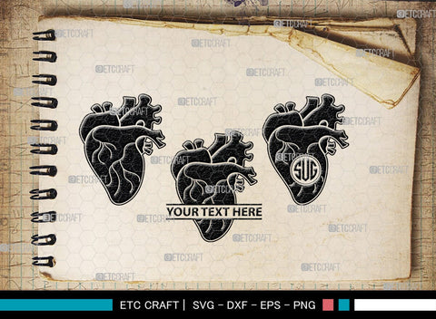 Human Heart Monogram, Human Heart Silhouette, Human Heart SVG, Heart Svg, Anatomical Heart Svg, Medical Svg, Heart Bundle, SB00147 SVG ETC Craft 