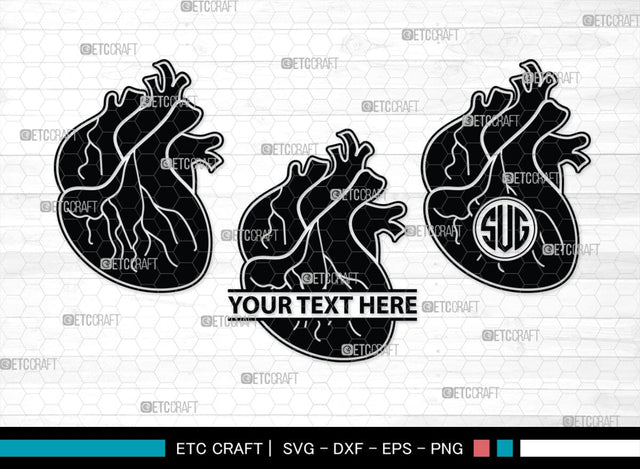 Human Heart Monogram, Human Heart Silhouette, Human Heart SVG, Heart Svg, Anatomical Heart Svg, Medical Svg, Heart Bundle, SB00147 SVG ETC Craft 