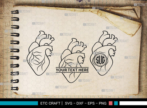 Human Heart Monogram, Human Heart Silhouette, Human Heart SVG, Heart Svg, Anatomical Heart Svg, Medical Svg, Heart Bundle, SB00147 SVG ETC Craft 