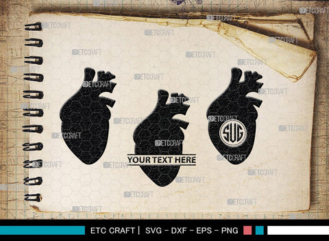 Human Heart Monogram, Human Heart Silhouette, Human Heart SVG, Heart Svg, Anatomical Heart Svg, Medical Svg, Heart Bundle, SB00147 SVG ETC Craft 