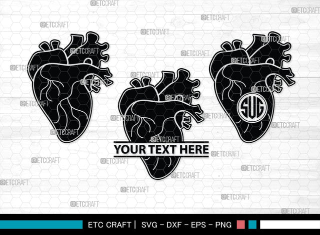 Human Heart Monogram, Human Heart Silhouette, Human Heart SVG, Heart Svg, Anatomical Heart Svg, Medical Svg, Heart Bundle, SB00147 SVG ETC Craft 