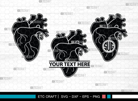 Human Heart Monogram, Human Heart Silhouette, Human Heart SVG, Heart Svg, Anatomical Heart Svg, Medical Svg, Heart Bundle, SB00147 SVG ETC Craft 