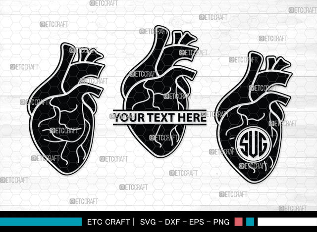 Human Heart Monogram, Human Heart Silhouette, Human Heart SVG, Heart Svg, Anatomical Heart Svg, Medical Svg, Heart Bundle, SB00147 SVG ETC Craft 