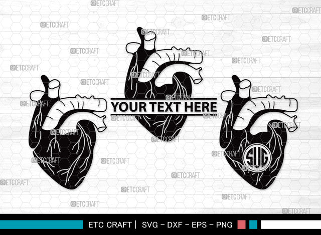 Human Heart Monogram SVG | Heart Svg | Realistic Heart Svg | Anatomical Heart Svg | Medical Svg | Real Human Heart Svg | Human Heart Monogram SVG ETC Craft 