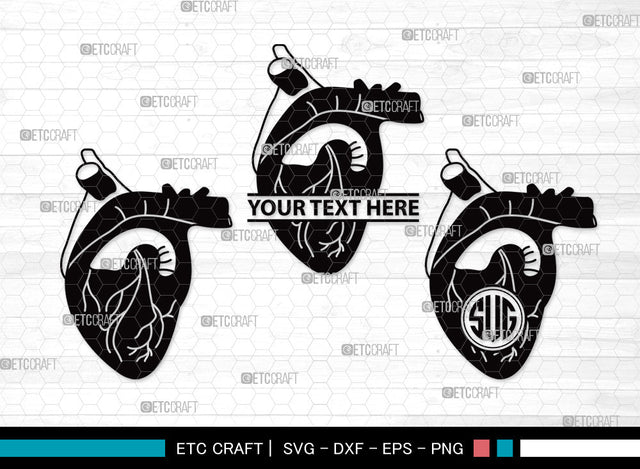 Human Heart Monogram SVG | Heart Svg | Realistic Heart Svg | Anatomical Heart Svg | Medical Svg | Real Human Heart Svg | Human Heart Monogram SVG ETC Craft 