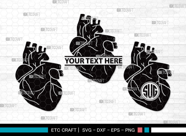 Human Heart Monogram SVG | Heart Svg | Realistic Heart Svg | Anatomical Heart Svg | Medical Svg | Real Human Heart Svg | Human Heart Monogram SVG ETC Craft 