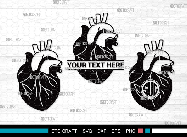 Human Heart Monogram SVG | Heart Svg | Realistic Heart Svg | Anatomical Heart Svg | Medical Svg | Real Human Heart Svg | Human Heart Monogram SVG ETC Craft 