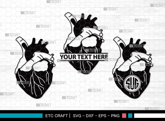 Human Heart Monogram SVG | Heart Svg | Realistic Heart Svg | Anatomical Heart Svg | Medical Svg | Real Human Heart Svg | Human Heart Monogram SVG ETC Craft 