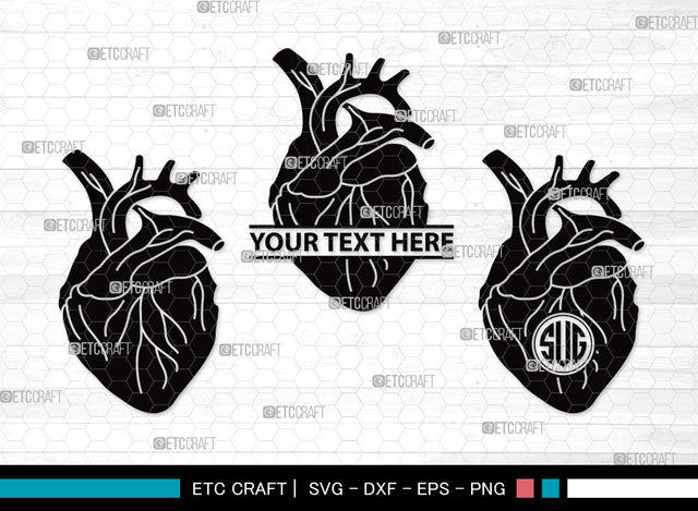 Human Heart Monogram SVG | Heart Svg | Realistic Heart Svg | Anatomical Heart Svg | Medical Svg | Real Human Heart Svg | Human Heart Monogram SVG ETC Craft 