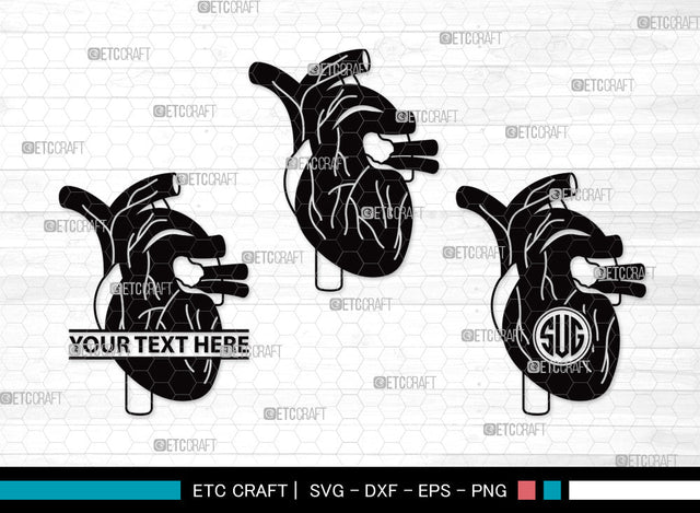 Human Heart Monogram SVG | Heart Svg | Realistic Heart Svg | Anatomical Heart Svg | Medical Svg | Real Human Heart Svg | Human Heart Monogram SVG ETC Craft 
