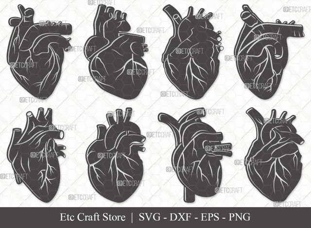Human Heart Silhouette SVG Cut File | Heart Svg | Realistic Heart Svg | Anatomical Heart Svg | Medical Svg | Real Human Heart Svg | Human Heart Svg Bundle SVG ETC Craft 