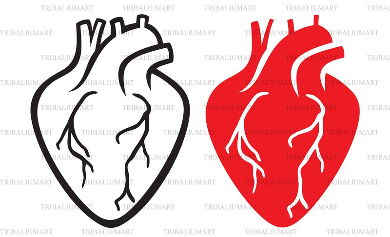 Human heart SVG TribaliumArtSF 