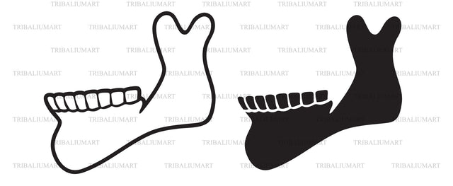 Human jaw bone SVG TribaliumArtSF 