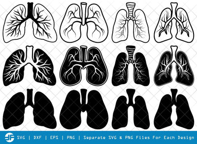 Human Lung SVG Cut Files | Human Lung Silhouette Bundle SVG ETC Craft 