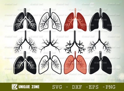 Human Lung Svg | Lungs Svg | Respiratory System Svg | Pulmonology Svg | Bronchial Svg | SVG Unique Zone 