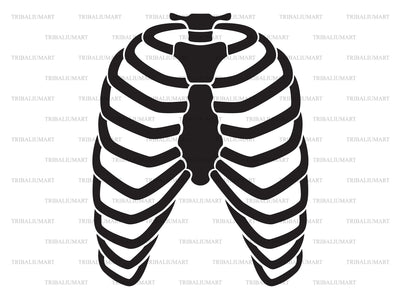 Human rib cage SVG TribaliumArtSF 