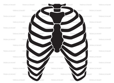 Human rib cage SVG TribaliumArtSF 