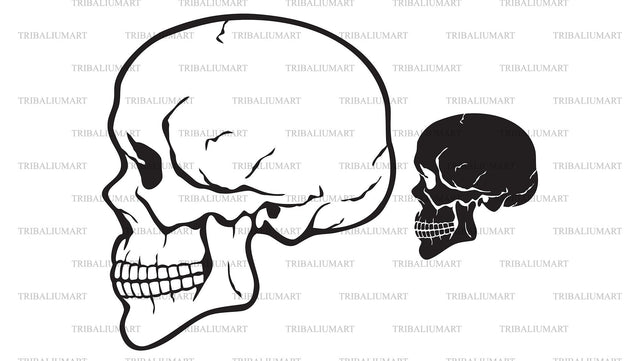Human skull profile SVG TribaliumArtSF 