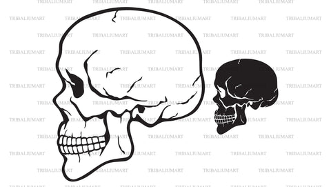 Human skull profile SVG TribaliumArtSF 