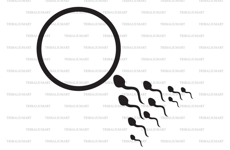 Human sperm and egg cell SVG TribaliumArtSF 