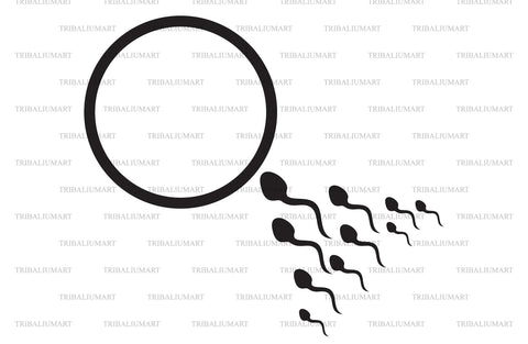 Human sperm and egg cell SVG TribaliumArtSF 