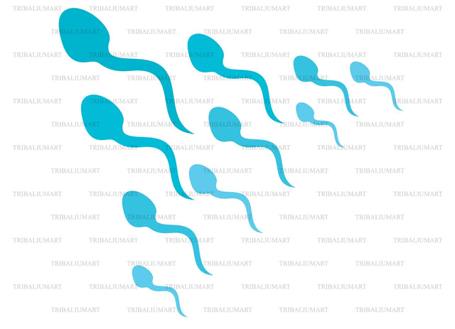 Human sperms attack SVG TribaliumArtSF 
