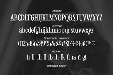 Humble Nostalgia - Elegant Serif Font Arterfak Project 