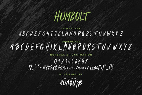 Humbolt Brush Typeface Font Creatype Studio 