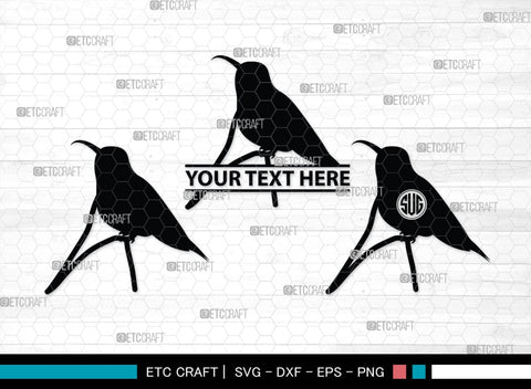 Humming Bird Monogram, Hummingbird Silhouette, Hummingbird SVG, Bird Svg, Flying Bird Svg, Colibri Bird Svg, SB00281 SVG ETC Craft 