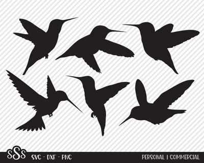 Hummingbird Bundle | Outdoor SVG SVG Texas Southern Cuts 