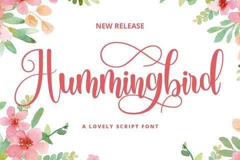 Hummingbird Font Fallen Graphic Studio 