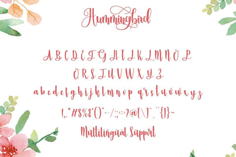 Hummingbird Font Fallen Graphic Studio 